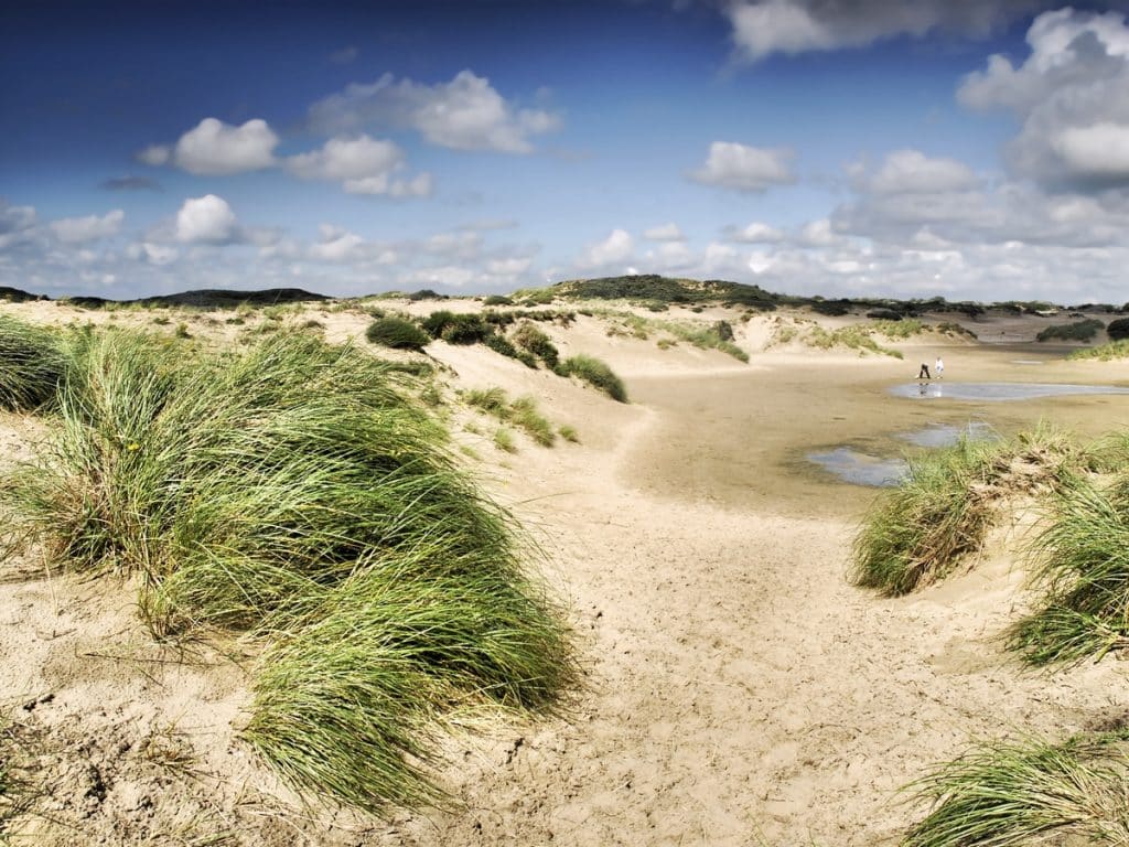 duinen zon water