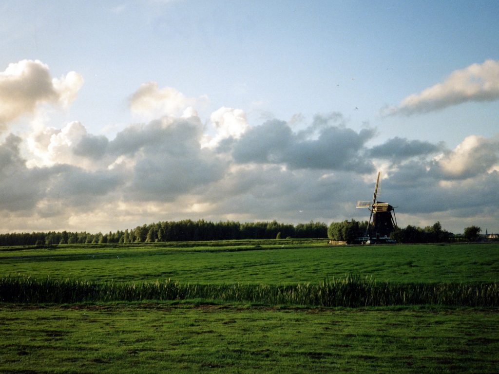 kaag polder