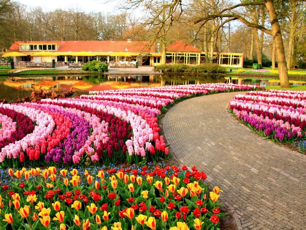 keukenhof veld pad