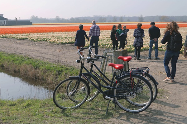 EasyFiets fietstour bollenstreek