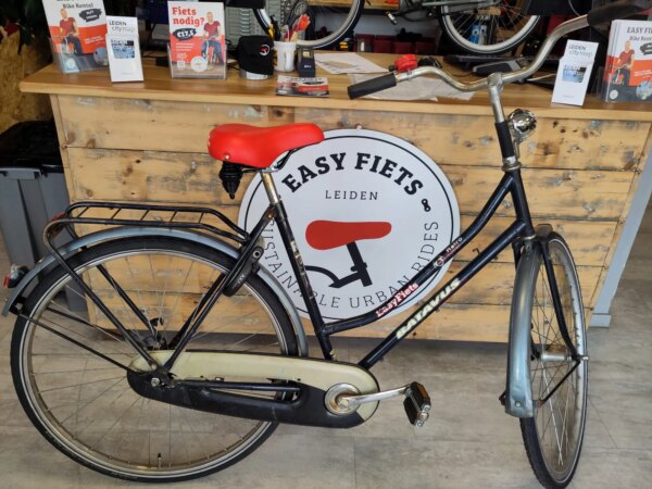 Batavus Retro